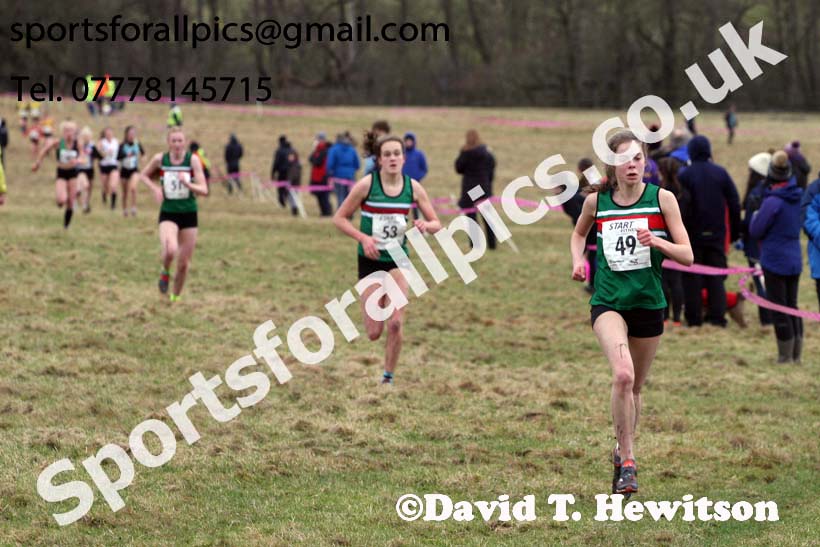 Junior womens 2018 Northern Cross Country Champs., Harewood House, Leeds. Photo: David T. Hewitson/Sports for All Pics